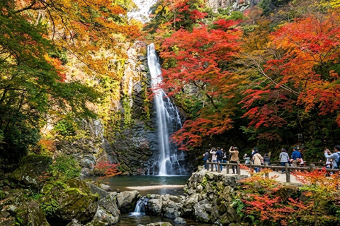 Osaka: City Highlights, Minoh Falls & Katsuoji Private Tour