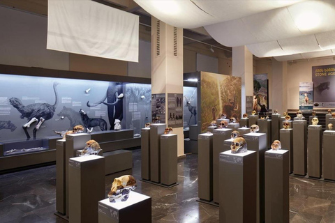 Georgian National Museum Entry Ticket