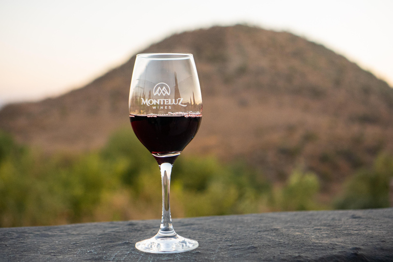 Santiago: Vinicola Monteluz Sunset Party Experience 360