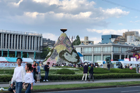 guía turístico: puedo gestionar el transporte por mi cuenta