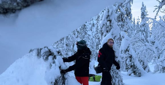 Levi: Guided Snowshoe Hike with Picnic and Photos