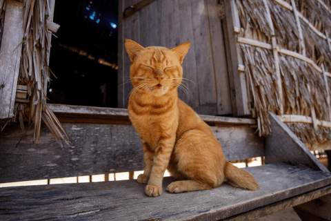 Phuket : Surin Island by Speedboat Khao Lak: Surin Island by Speedboat