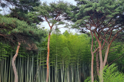 Busan: Private Tour- Yongung Temple, Bamboo Forest, Sky Walk