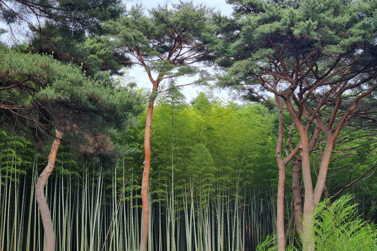 Busan: Private Tour- Yongung Temple, Bamboo Forest, Sky Walk