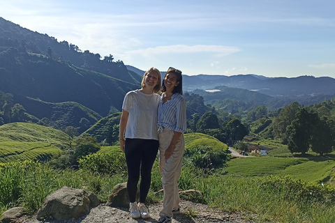 Private Guided Mossy Forest Tour & Malaysia Transfer