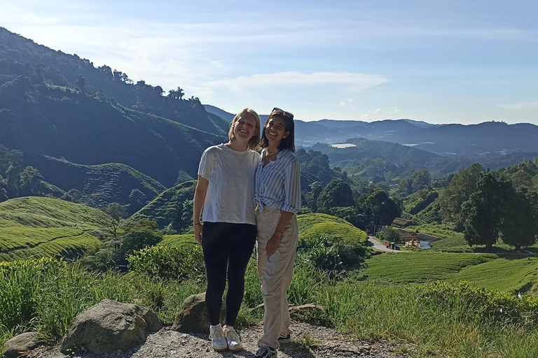 Private Guided Mossy Forest Tour & Malaysia Transfer