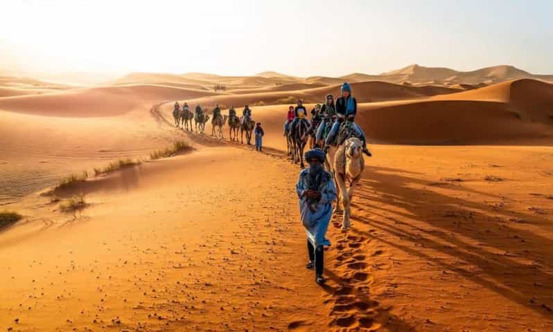 Excursion de 3 jours à Merzouga : balade à dos de chameau, repas et camping économique - dromadaire