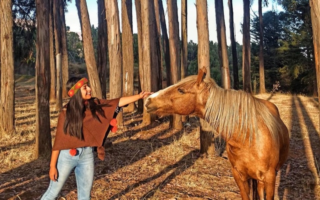 Horse ride through Sacsayhuaman, Qenqo and eucalyptus forest