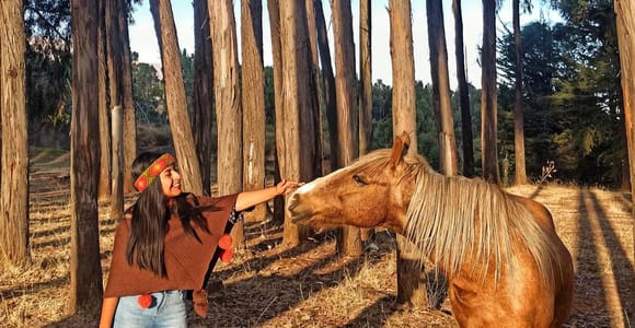 Horse ride through Sacsayhuaman, Qenqo and eucalyptus forest