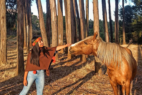 Randonnée à cheval à travers Sacsayhuaman, Qenqo et la forêt d'eucalyptus.