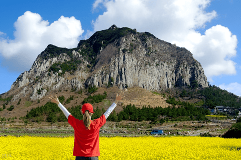 Jeju: 2-Day Island Highlights East & South-West Bus Tour