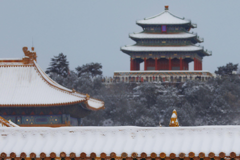 Beijing: Forbidden City and Summer Palace Private Tour