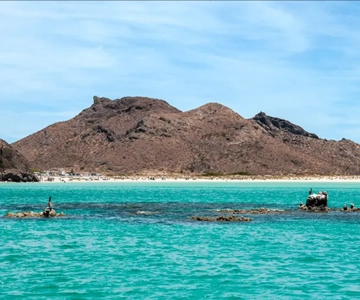 La Paz: Passeio de barco à ilha do Espírito Santo e aos saveiros