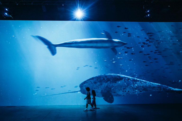 Zürich: toegangskaartje voor de meeslepende tentoonstelling &quot;Titanic&quot; in de Lichthalle MaagZürich: Toegangskaartje voor de meeslepende tentoonstelling &quot;Titanic&quot; in de Lichthalle 