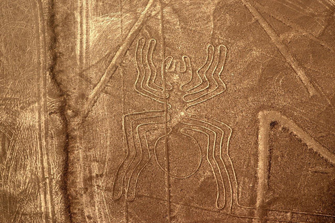 From Ica: Overflight in the Nazca Lines