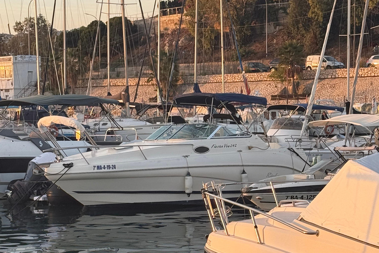 Private Boat Trip in the Bay of Malaga City Private 4-hour boat trip in the Bay of Malaga