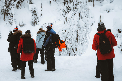 Gezinsvriendelijk: Bevroren watervallen vanuit Rovaniemi