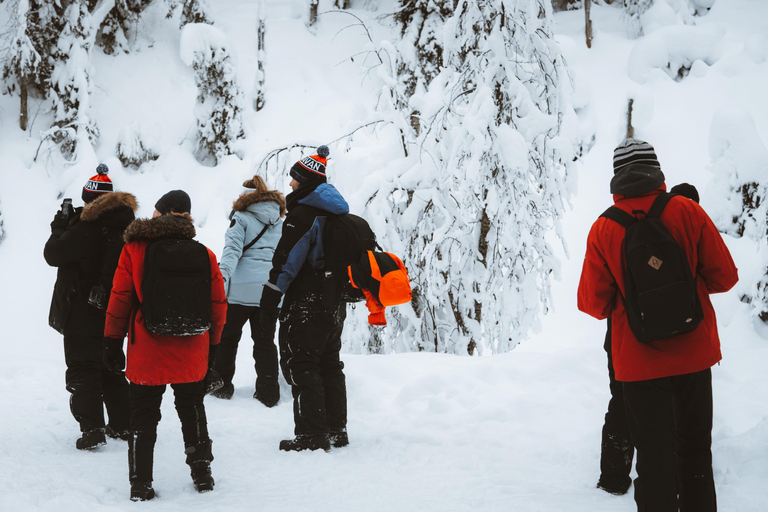 En famille : Circuit des cascades gelées au départ de Rovaniemi