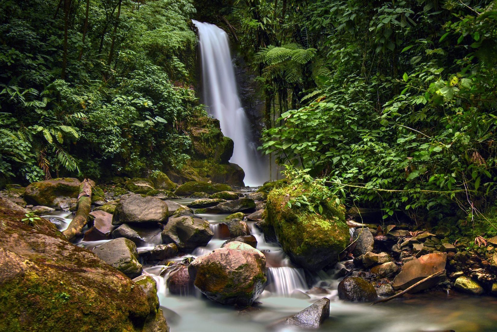 Von San Jose aus: La Paz Waterfall Gardens Geführte Tagestour