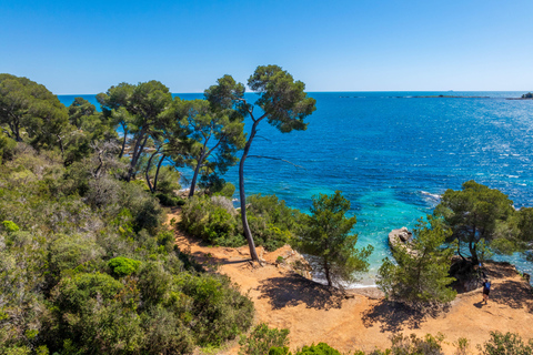 Från Nice: Transfer med färja till Île Sainte-MargueriteFärjetransport till ön Sainte Marguerite från Nice