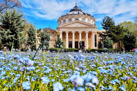 جولة في أسواق عيد الميلاد في رومانيا وبلغاريا - 8 أيام من السحر