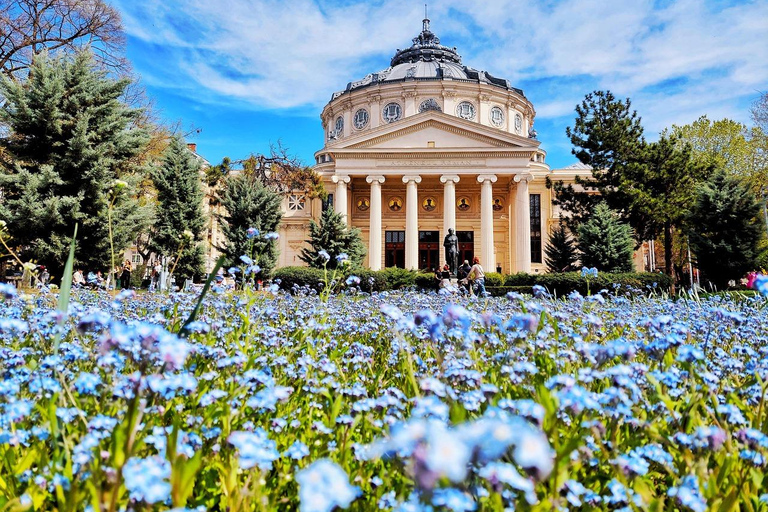جولة في أسواق عيد الميلاد في رومانيا وبلغاريا - 8 أيام من السحر