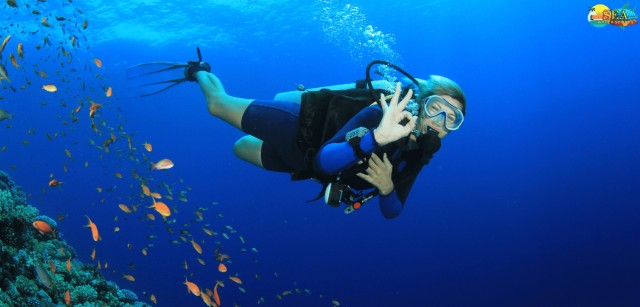 Visit Scuba Diving in Andaman (Shore Dive) in Andaman Islands