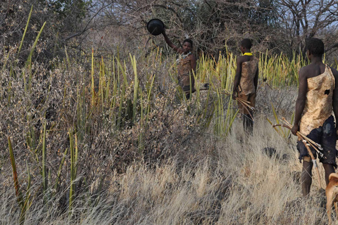 Arusha: 3-Day Safari to Tarangire, Lake Eyasi & Ngorongoro