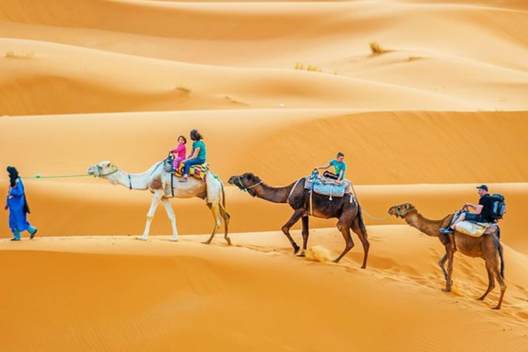 From Djerba: 4WD Sahara Desert Adventure: Ksar Ghilane, Matmata, and Star Wars From Djerba: 4WD Adventure in the Sahara: Ksar Ghilane, Matmata, and Star Wars