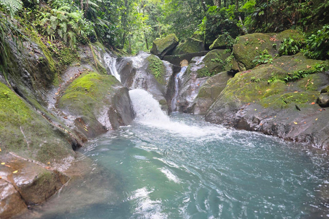 4x4 Land Rover day trip with Fanm Sosyal Kréyol in Guadeloupe Half-Day