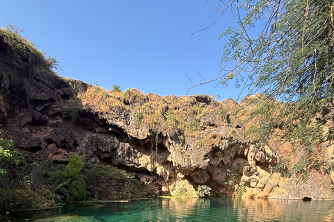 Salalah Local Life Tour: Camels, Coast & Natural Wonders