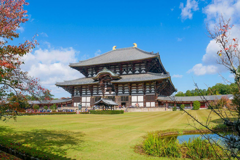 Osaka: Nara Private Day Tour