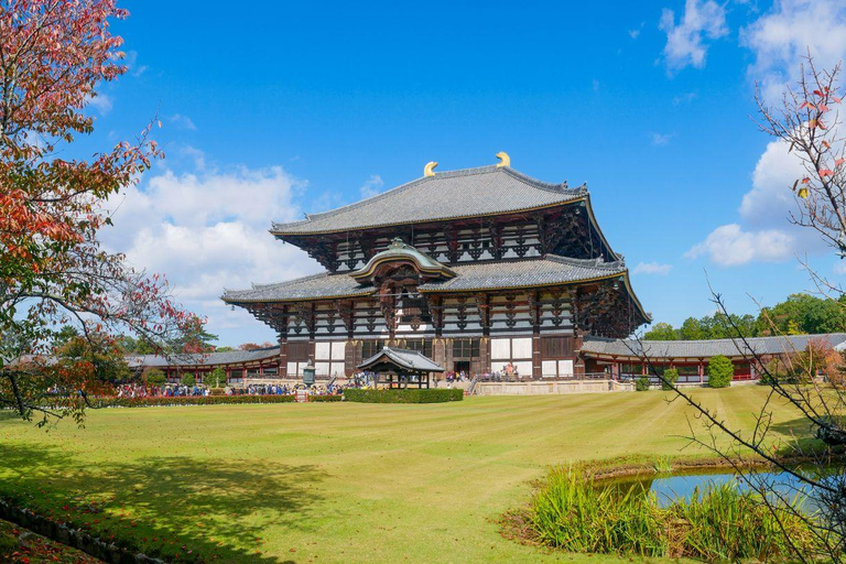 Osaka: Nara Private Day Tour