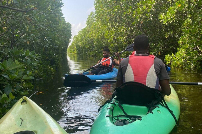 Uzi Island Mangrove Canoeing & Village Tour with Local Lunch Private Tour with Transfer and All Entry Fees Included