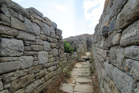 Delos: Endast ljudguidad tur på den arkeologiska platsen