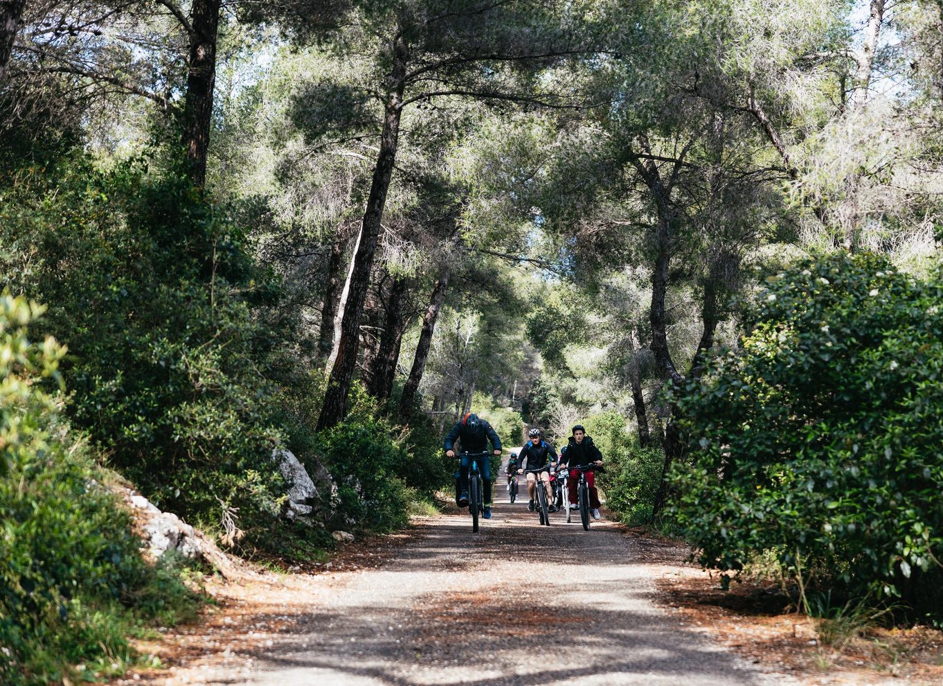 Fra Marseille: Guidet tur på elcykel til Calanque de Sormiou