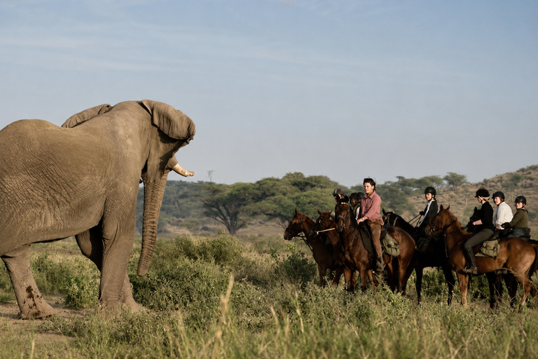 From Arusha: Arusha National Park Horseback Safari