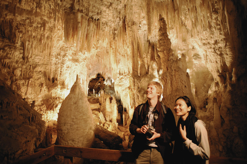 WAITOMO GLOWWORM &amp; RUAKURI CAVES-PRIVATE TOUR FROM AUCKLAND