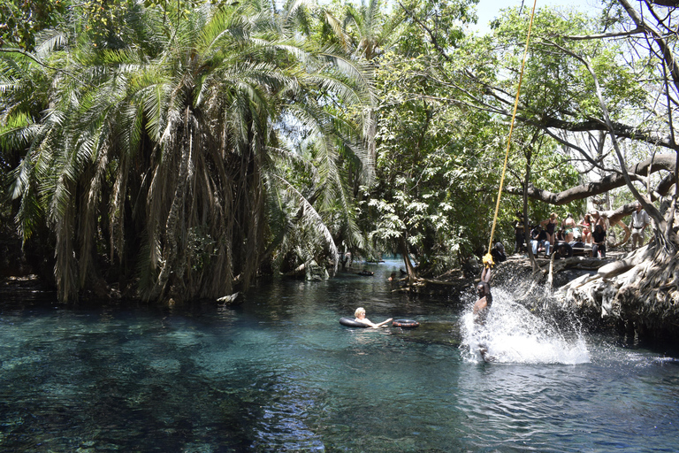 Tanzania: 8-Day Road Trip to Kilimanjaro, Lushoto & More