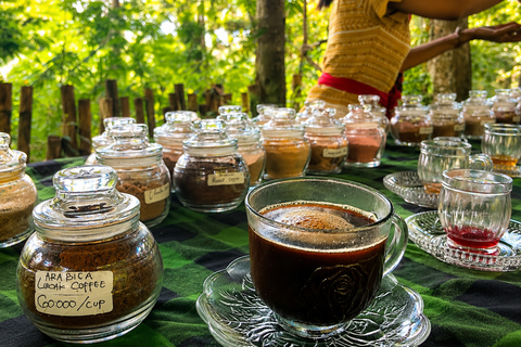 Bali: Mount Batur Jeep, Hotspring And Ubud Waterfall Tour All Included In This Option