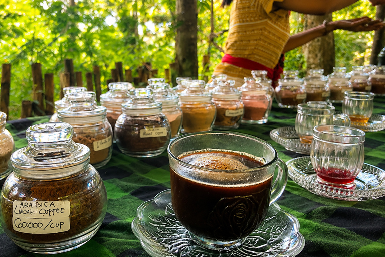 Bali: Mount Batur Jeep, Hotspring And Ubud Waterfall Tour All Included In This Option