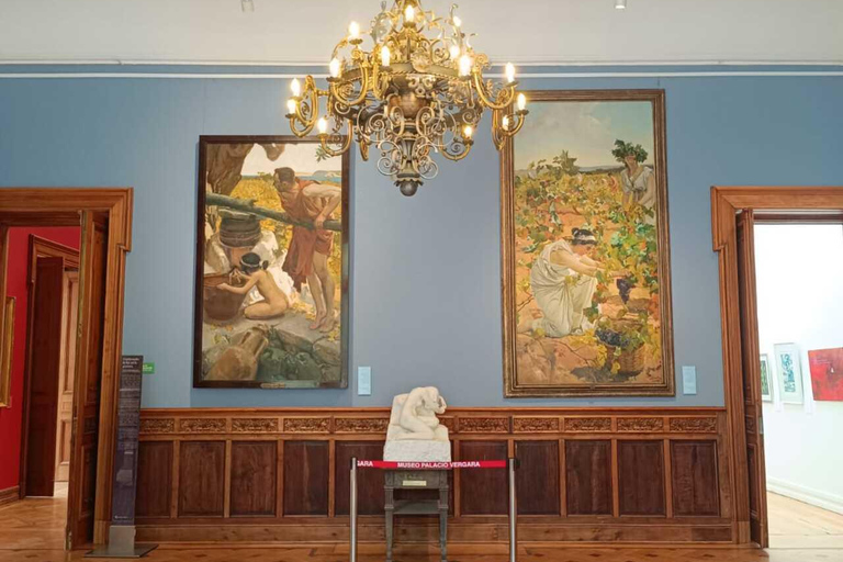 Sightseeing tour in Viña del Mar, including visits to museums