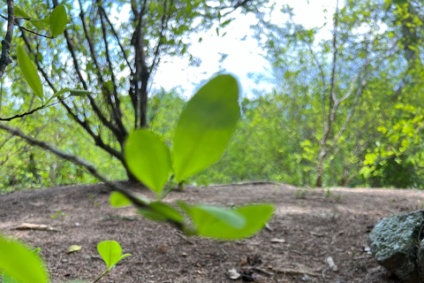 Parco Tayrona 2 giorni e 1 notte. Un percorso ancestrale.