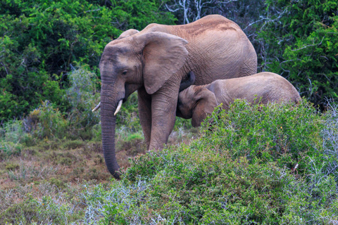 Namibia: 15 Days Guided Tour