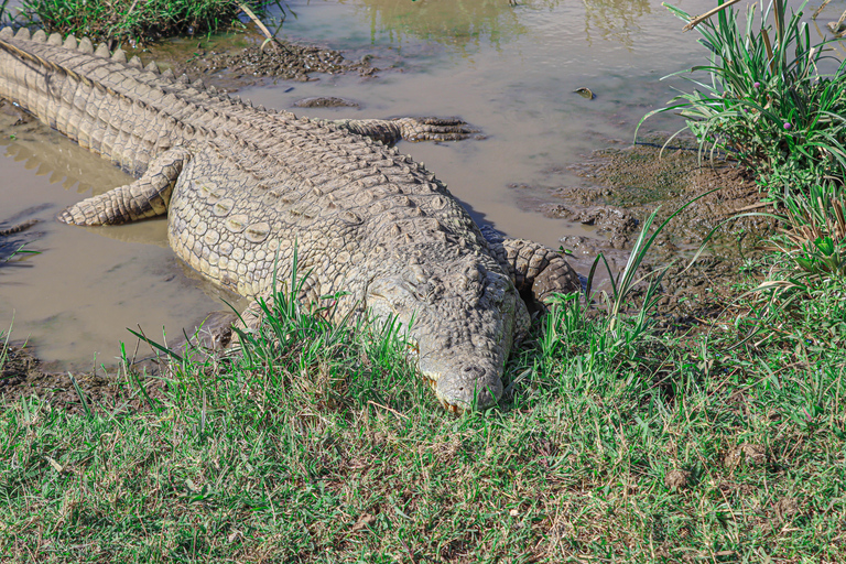 Privérondleiding door het Nairobi Nationaal Park