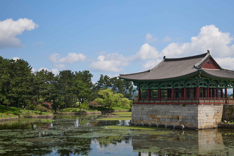 Busan & Gyeongju Highlights 2 Days Combo Tour from Busan