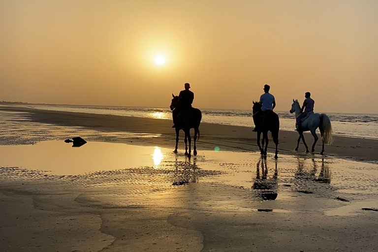 Montar a caballo en la playa de Mascate