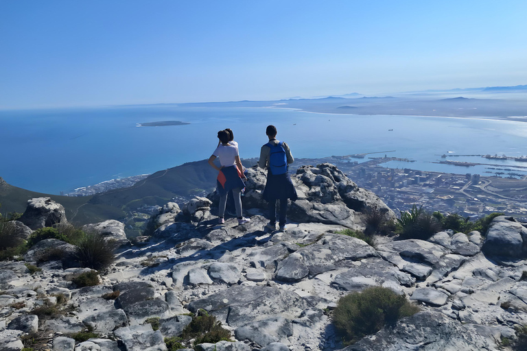 Cape Town: the Mountain, the Garden and the Vineyard