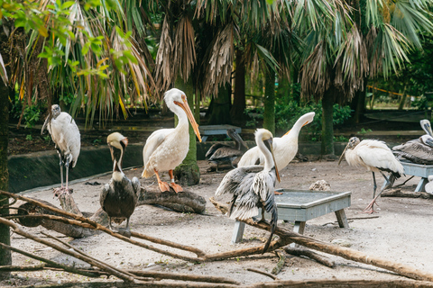 Fort Lauderdale: toegangsticket Flamingo Gardens