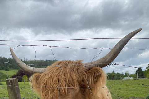 Au départ d'Édimbourg : Excursion privée d'une journée à Glencoe et Loch Lomond